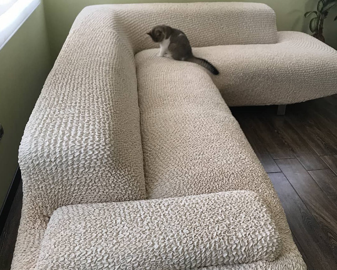 ¿Tu mascota se porta mal? Aquí está la solución