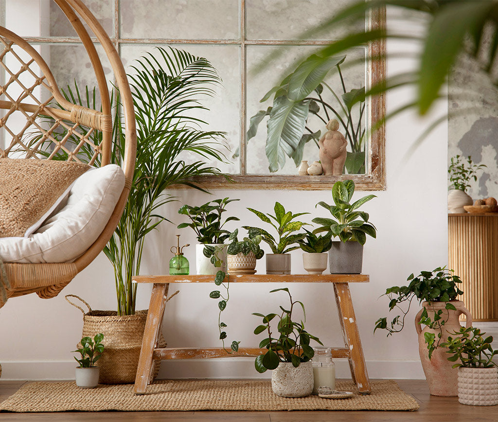 Viaje por el Mundo: Inspiración Global para tu Decoración