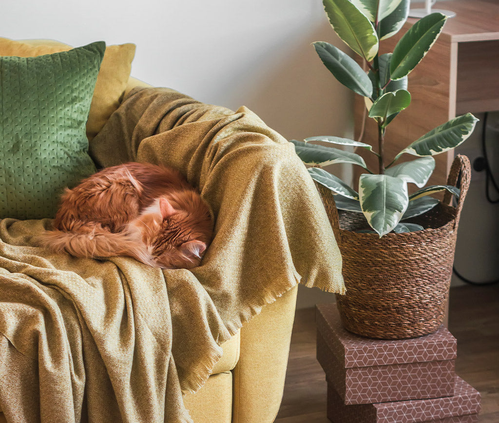 Decora tu hogar en colores otoñales