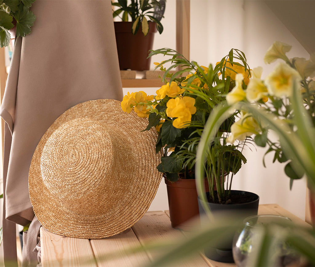 Decoración Inspirada en la Naturaleza: Trae el Exterior al Interior