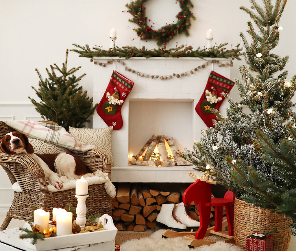 Navidad Moderna: Cómo Decorar con un Estilo Minimalista Estas Fiestas
