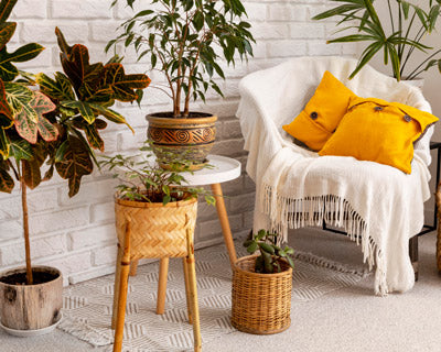 Renueva tu deco con aires veraniegos