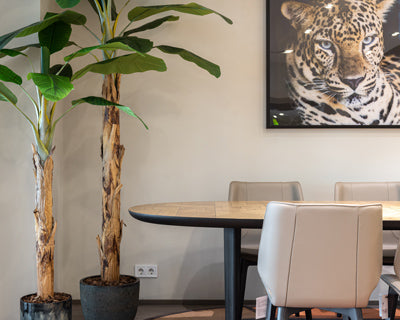 Estilo Jungle: Verde salvaje en tu interior