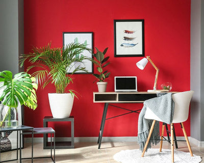 Color de amor y pasión