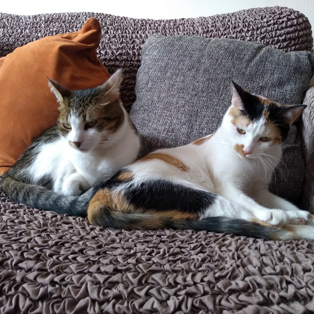 Microfibra - Funda Sofa 3 cuerpos Capuccino