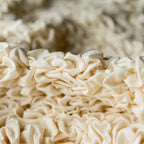 Algodon Organico - Funda Berger Vanilla
