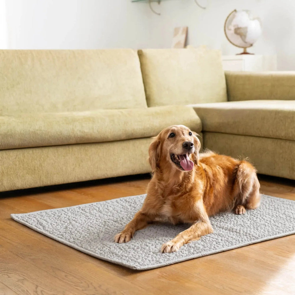 Microfibra - Protector Impermeable para Sofa 3 cuerpos Gris